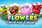 Verdien free spins voor Flowers Christmas Edition