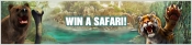 Win een safari in Amsterdams Casino