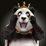 Speler wint ruim 565k met roulette in Royal Panda Casino
