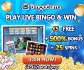 Online bingo spelen met bonus