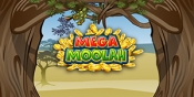 Speler wint eerste Mega jackpot van Mega Moolah in 2019