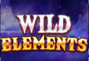 Speler wint groot geldbedrag op videoslot Wild Elements