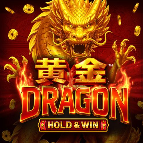 Coins Of Dragon Coins Of Dragon