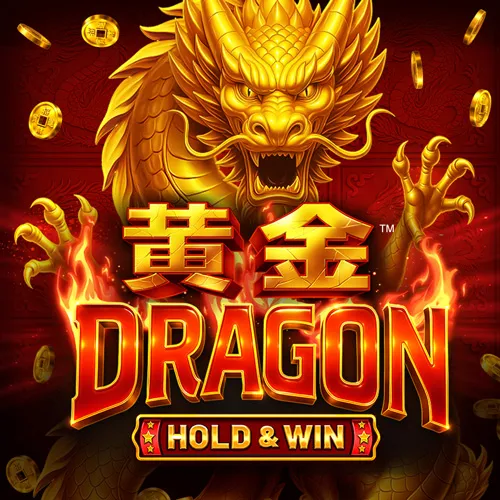 Coins Of Dragon Coins Of Dragon